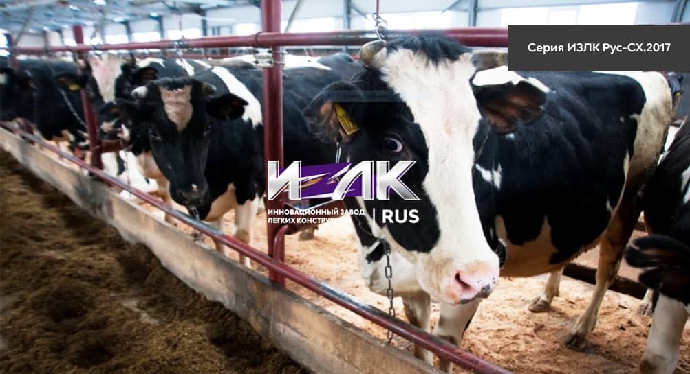 Основные виды коровников, эксплуатируемых животноводами Киржача и региона